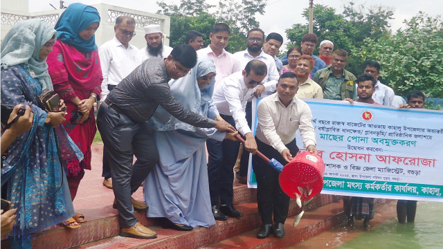 কাহালু উপজেলা পরিষদের পুকুরে মাছের পোনা অবমুক্তকরণ করলেন জেলা প্রশাসক