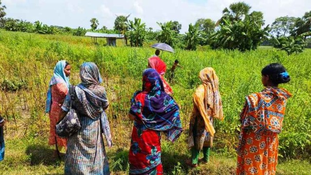 নড়াইলে তিল খেত থেকে মানুষের কঙ্কাল উদ্ধার করেছে থানা পুলিশ।